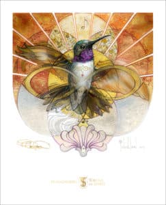 Hummingbird, 13x16" Signed Print